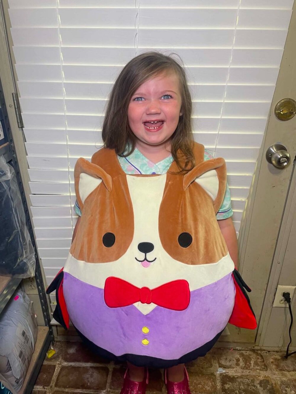 Great Used Condition Squishmallow Costume, OSFM up to size 14.